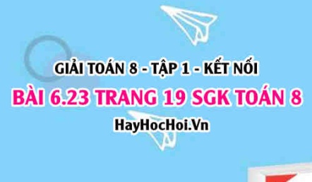 Bài 6.23 trang 19 Toán 8 Tập 2 Kết nối tri thức